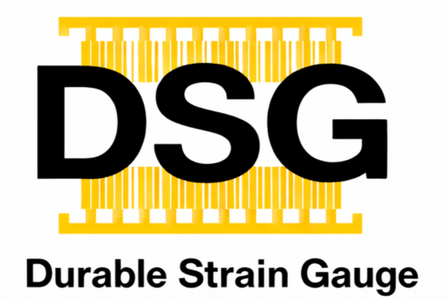 DSG 耐久性应变计